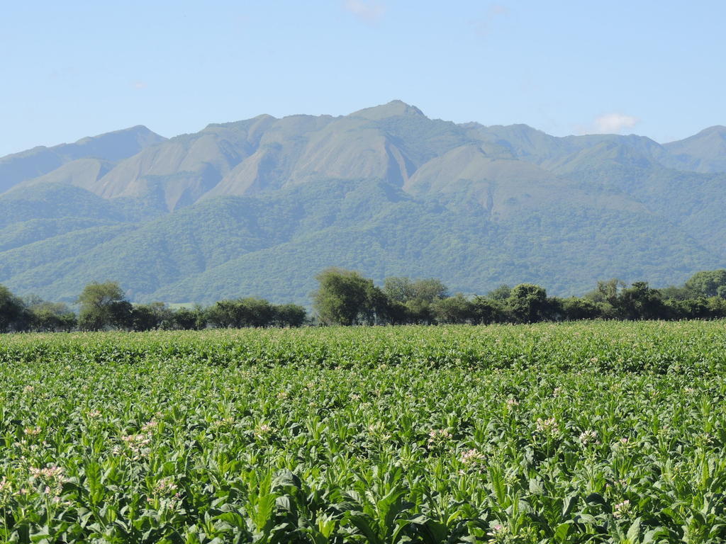 Finca Las Margaritas Chicoana Exterior photo